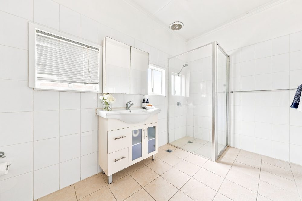 10 Albert St, Singleton-28